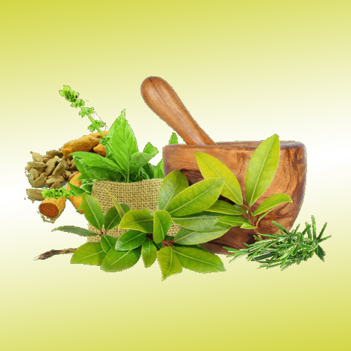 Ayurveda 